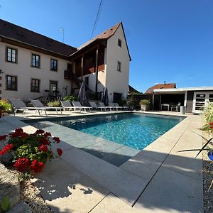 Chambres D'Hotes - L'Ecurie Obernai